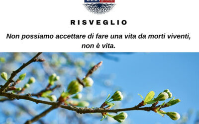 Risveglio